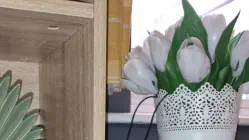 Close up of bookcase and ornaments in our TV room