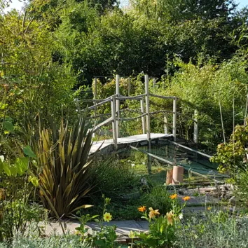 A wooden bridge over a pond at our horticulture and conservtion project